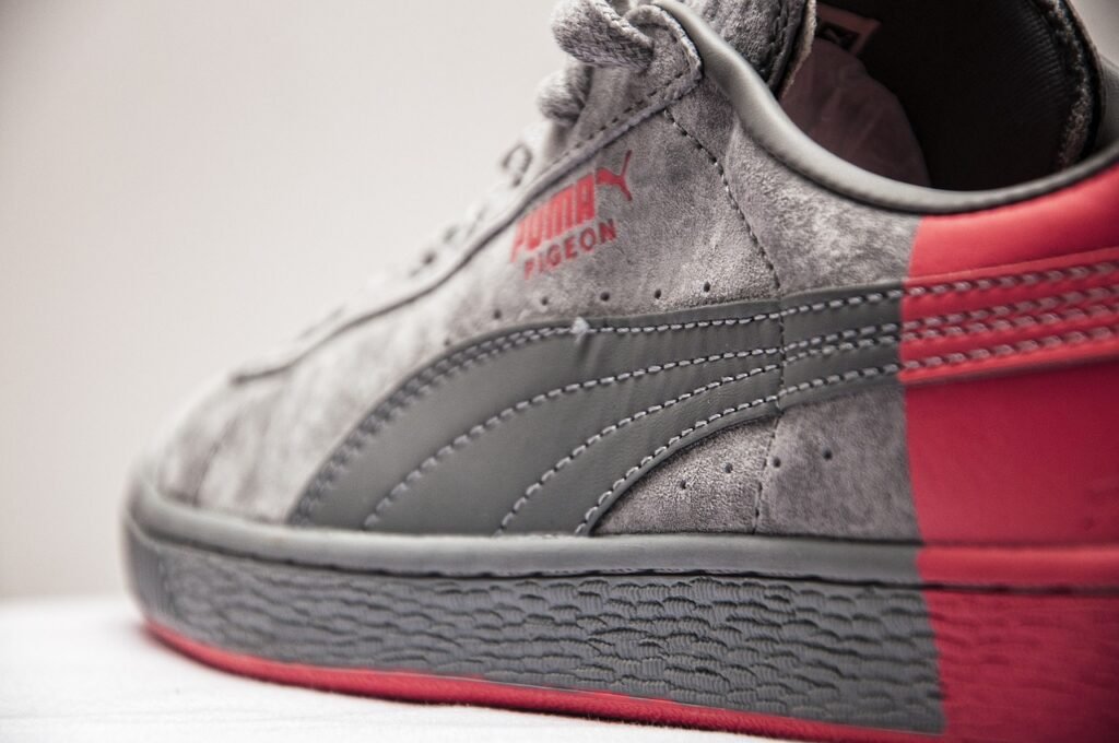 puma, dove, sneakers-3706911.jpg